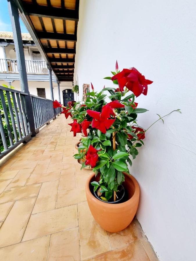 Apartamento Con Patio Sevillano Exteriör bild